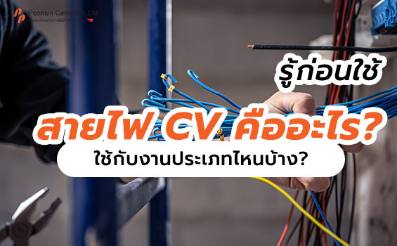 รู้ก่อนใช้ สายไฟ Cv คืออะไร? ใช้กับงานประเภทไหนบ้าง?
